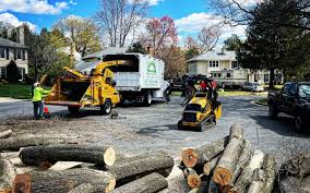 Best Tree Risk Assessment  in Jefferson, NC